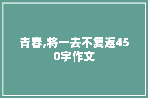 介绍开源SEO工具,助力网站优化，提升搜索引擎排名