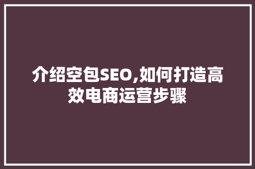 介绍空包SEO,如何打造高效电商运营步骤  第1张