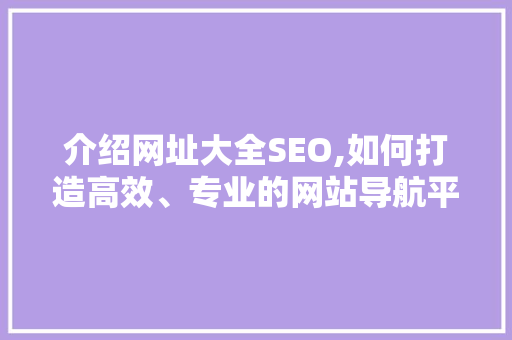 介绍网址大全SEO,如何打造高效、专业的网站导航平台