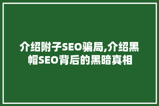 介绍附子SEO骗局,介绍黑帽SEO背后的黑暗真相
