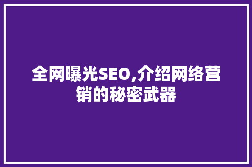 全网曝光SEO,介绍网络营销的秘密武器