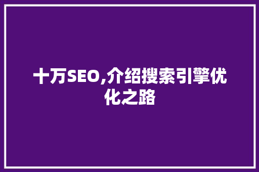 十万SEO,介绍搜索引擎优化之路
