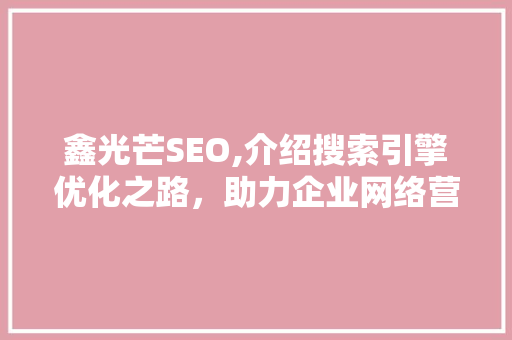 鑫光芒SEO,介绍搜索引擎优化之路，助力企业网络营销腾飞