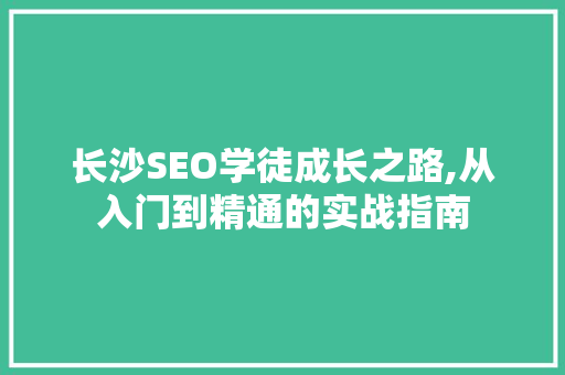 长沙SEO学徒成长之路,从入门到精通的实战指南