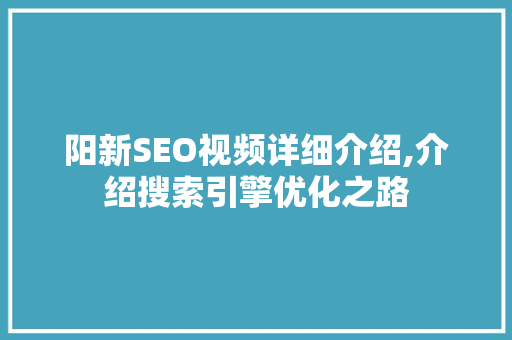 阳新SEO视频详细介绍,介绍搜索引擎优化之路