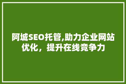 阿城SEO托管,助力企业网站优化，提升在线竞争力