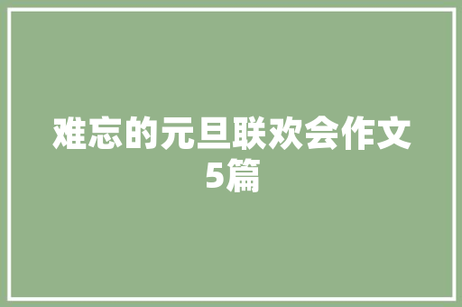 青岛SEO工具助力企业提升网络营销效果