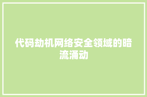 代码劫机网络安全领域的暗流涌动