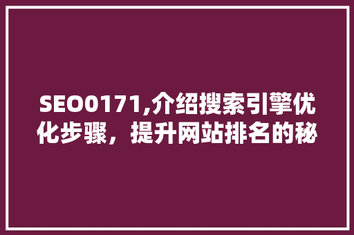 SEO0171,介绍搜索引擎优化步骤，提升网站排名的秘密武器