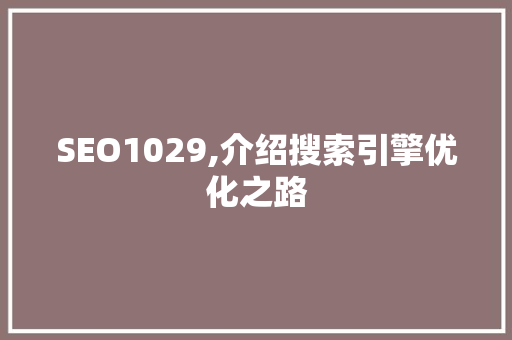 SEO1029,介绍搜索引擎优化之路