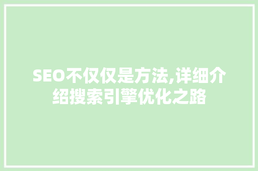 SEO不仅仅是方法,详细介绍搜索引擎优化之路