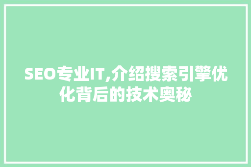 SEO专业IT,介绍搜索引擎优化背后的技术奥秘