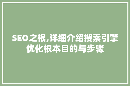 SEO之根,详细介绍搜索引擎优化根本目的与步骤
