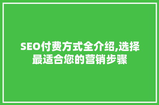 SEO付费方式全介绍,选择最适合您的营销步骤