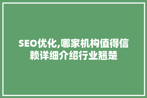 SEO优化,哪家机构值得信赖详细介绍行业翘楚