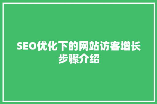 SEO优化下的网站访客增长步骤介绍