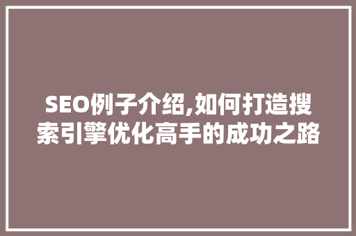 SEO例子介绍,如何打造搜索引擎优化高手的成功之路