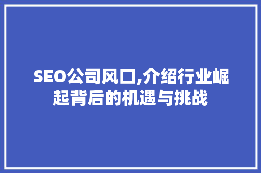 SEO公司风口,介绍行业崛起背后的机遇与挑战