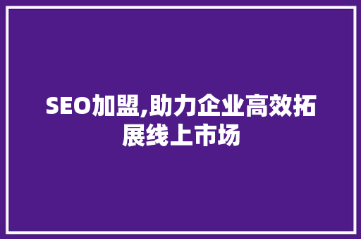 SEO加盟,助力企业高效拓展线上市场