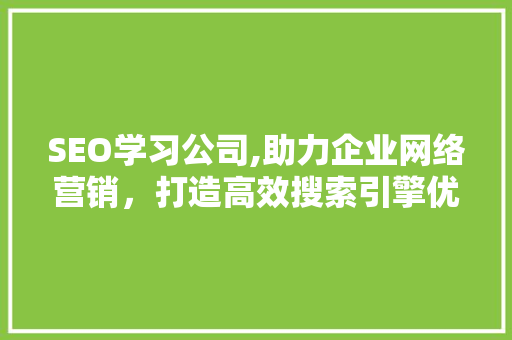 SEO学习公司,助力企业网络营销，打造高效搜索引擎优化步骤