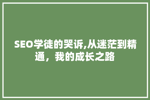 SEO学徒的哭诉,从迷茫到精通，我的成长之路