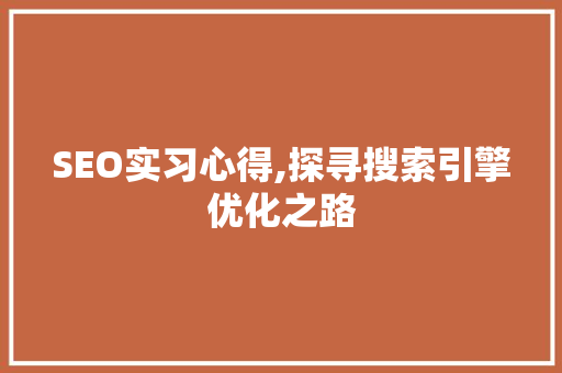SEO实习心得,探寻搜索引擎优化之路