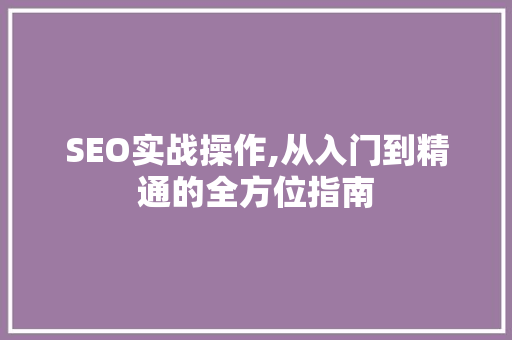 SEO实战操作,从入门到精通的全方位指南