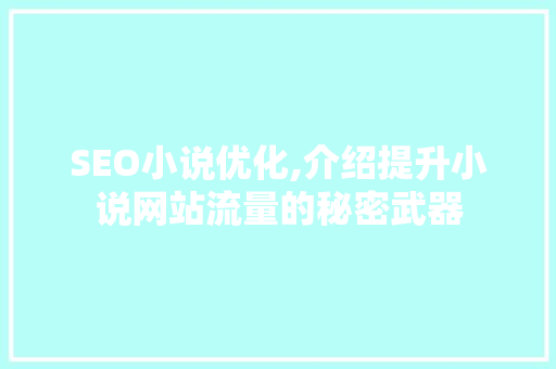 SEO小说优化,介绍提升小说网站流量的秘密武器