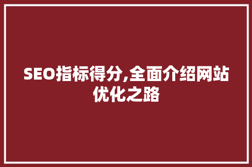 SEO指标得分,全面介绍网站优化之路