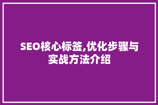 SEO核心标签,优化步骤与实战方法介绍