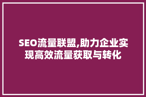 SEO流量联盟,助力企业实现高效流量获取与转化