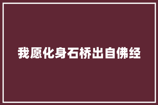 SEO源码网,助力网站优化，打造高效搜索引擎排名步骤