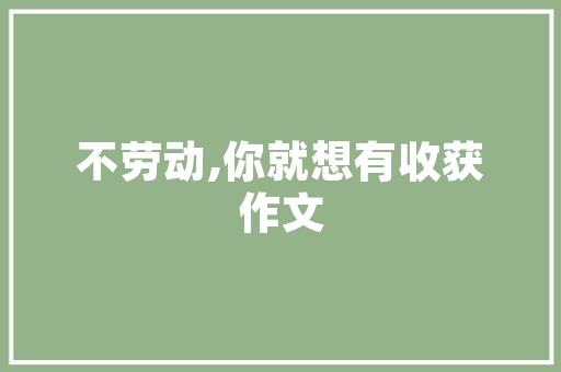 SEO特训学校,打造互联网营销精英，助力企业腾飞