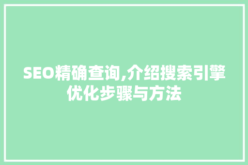 SEO精确查询,介绍搜索引擎优化步骤与方法
