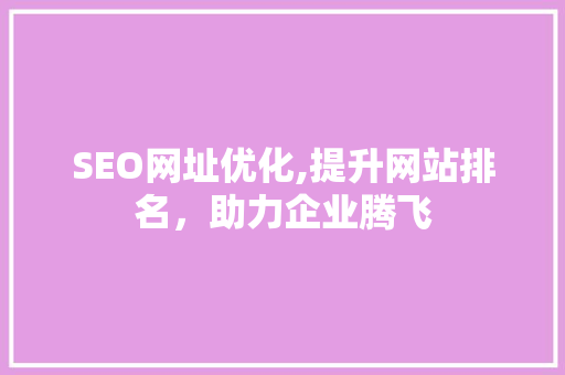 SEO网址优化,提升网站排名，助力企业腾飞