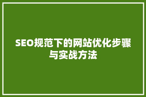 SEO规范下的网站优化步骤与实战方法