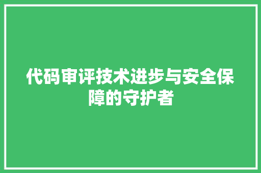 代码审评技术进步与安全保障的守护者  第1张