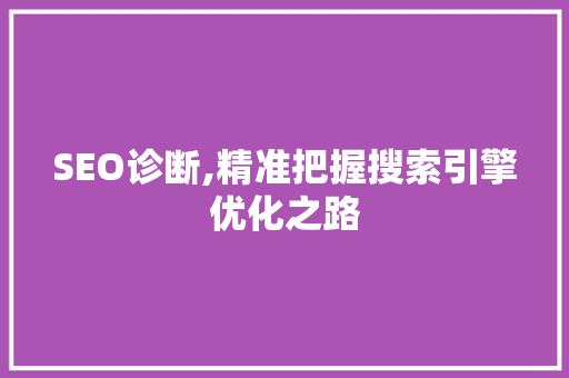 SEO诊断,精准把握搜索引擎优化之路