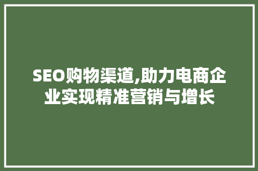 SEO购物渠道,助力电商企业实现精准营销与增长