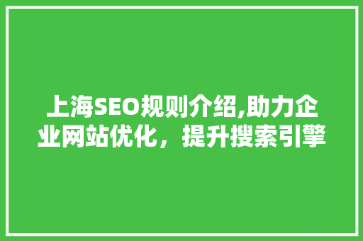 上海SEO规则介绍,助力企业网站优化，提升搜索引擎排名