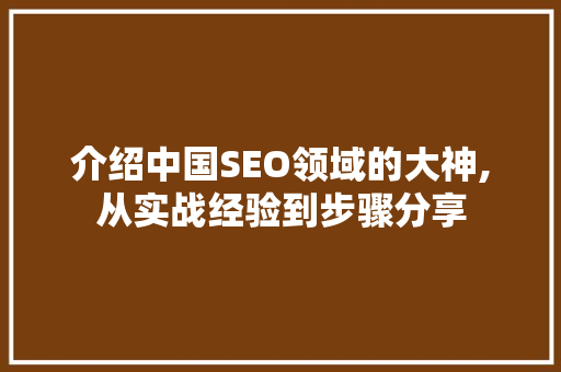介绍中国SEO领域的大神,从实战经验到步骤分享