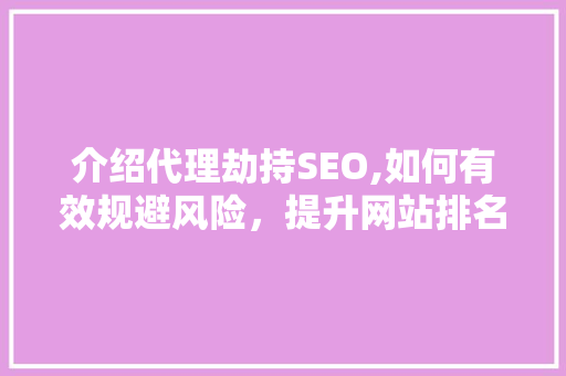 介绍代理劫持SEO,如何有效规避风险，提升网站排名
