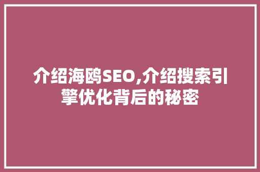 介绍海鸥SEO,介绍搜索引擎优化背后的秘密