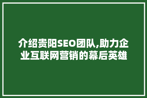 介绍贵阳SEO团队,助力企业互联网营销的幕后英雄