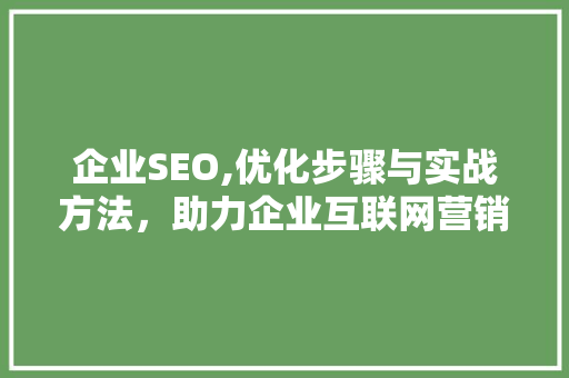 企业SEO,优化步骤与实战方法，助力企业互联网营销腾飞