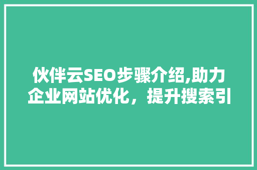 伙伴云SEO步骤介绍,助力企业网站优化，提升搜索引擎排名