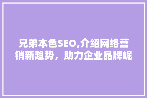 兄弟本色SEO,介绍网络营销新趋势，助力企业品牌崛起