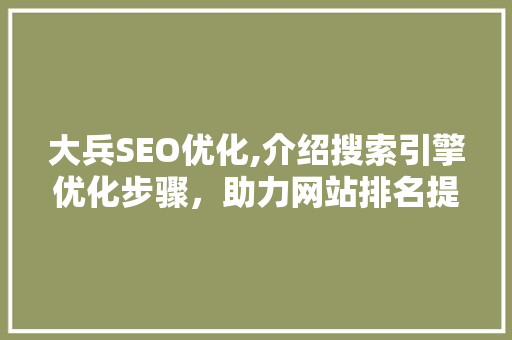 大兵SEO优化,介绍搜索引擎优化步骤，助力网站排名提升