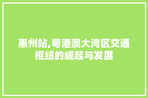 惠州站,粤港澳大湾区交通枢纽的崛起与发展