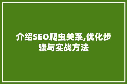 介绍SEO爬虫关系,优化步骤与实战方法